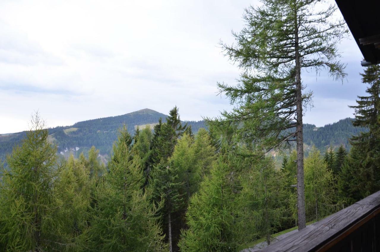 Ferienhaus Bergfee Klippitztorl Εξωτερικό φωτογραφία