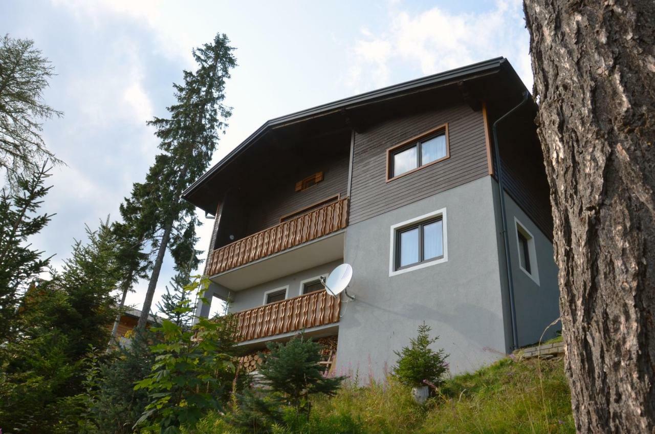 Ferienhaus Bergfee Klippitztorl Εξωτερικό φωτογραφία