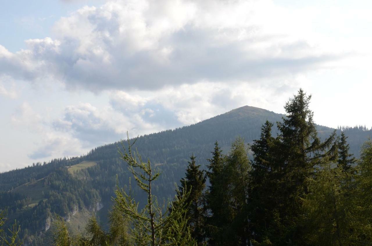 Ferienhaus Bergfee Klippitztorl Εξωτερικό φωτογραφία