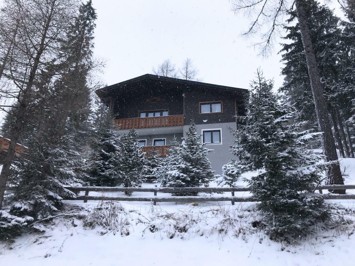Ferienhaus Bergfee Klippitztorl Εξωτερικό φωτογραφία
